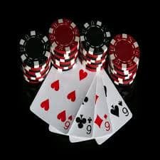 v6 bet